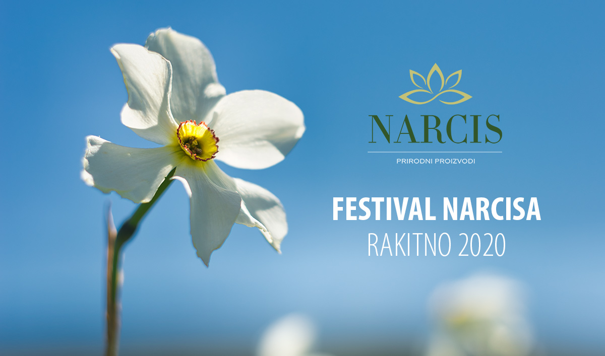 Festival narcisa - Rakitno 2020.