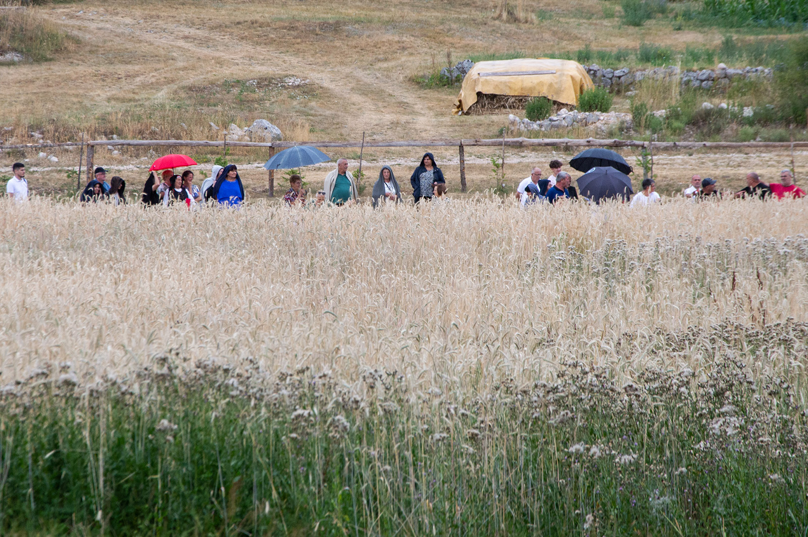 Festival žetve u Dabiu spojio je tradiciju, prirodu i ljude
