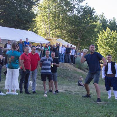 Festival Zetve 2026 98