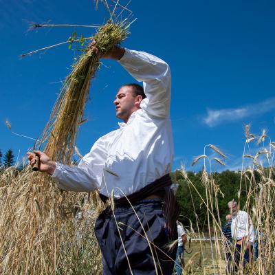 Festival žetve 2026.