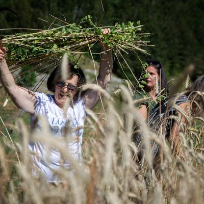 FESTIVAL ŽETVE 2024.