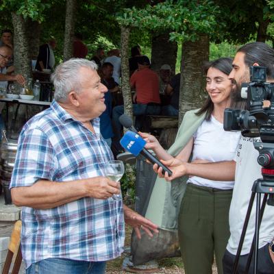 Festival žetve 2025. - Šarića Dabio