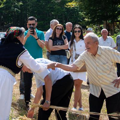 Festival Zetve 2023 008