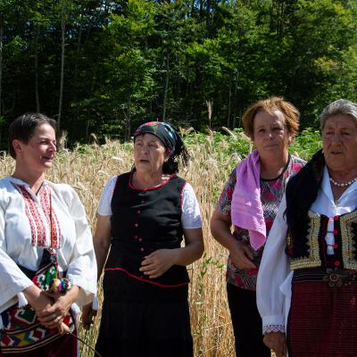 Festival žetve 2023.